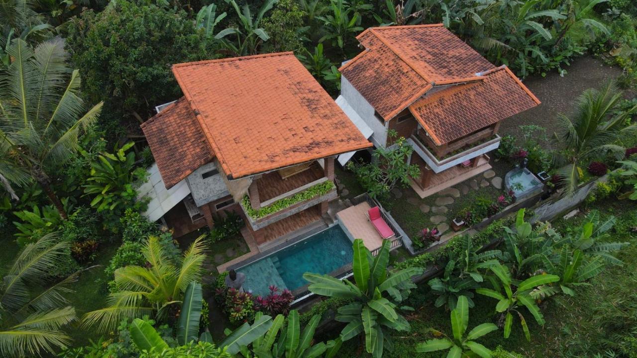 D'Nanda Villa Убуд Экстерьер фото